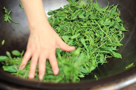 炒青綠茶與綠茶的區(qū)別，烘青和炒青哪個(gè)好喝？