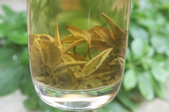 茉莉龍珠泡開后為什么都是梗，茉莉龍珠泡開后什么樣？