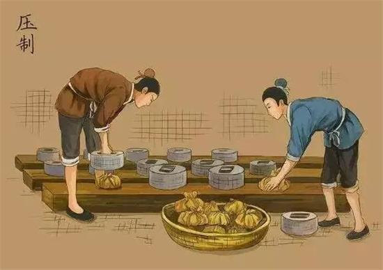 制茶八步驟，制茶工藝流程圖