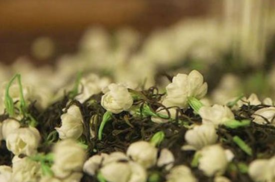 蒸茶器可以蒸花茶嗎，蒸茶器能用來蒸茉莉花茶嗎？