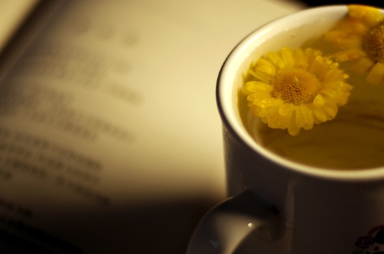 經(jīng)常菊花泡水好嗎，喝菊花茶有什么好處？