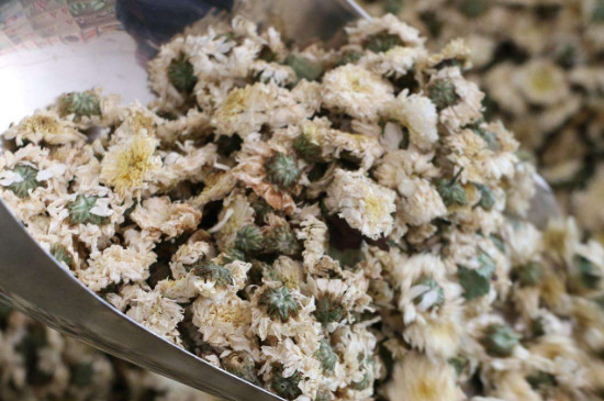 菊花茶買小朵還是大朵，泡茶用的小菊花和大菊花哪個好