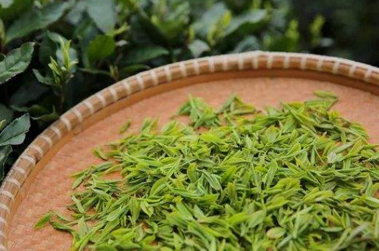 炒青綠茶與綠茶的區(qū)別，烘青和炒青哪個(gè)好喝？