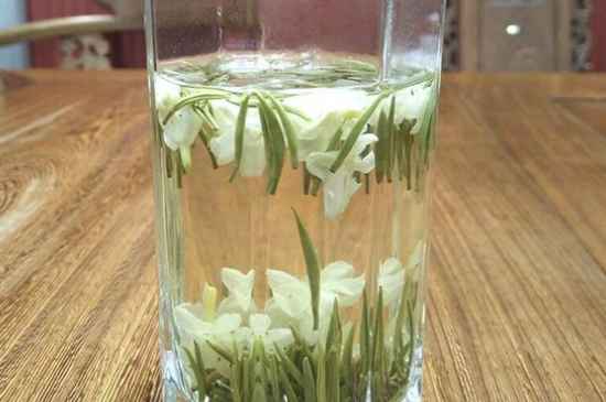 女孩喝茉莉茶的好處，茉莉茶葉的功效與禁忌