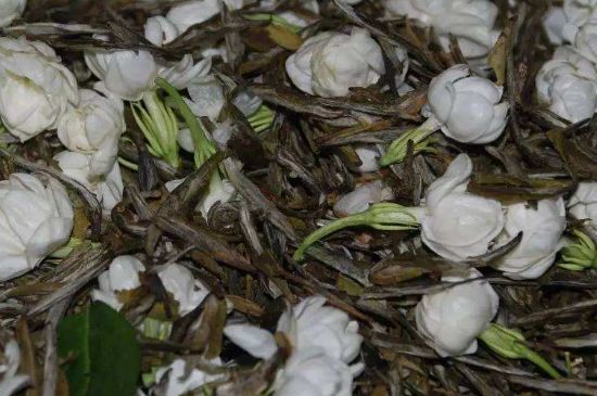 茉莉龍珠怎么做的，茉莉龍珠的制作工藝
