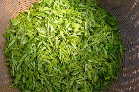 烏牛早和龍井的區(qū)別圖片，龍井43號(hào)和烏牛早茶的對(duì)比