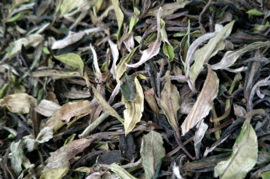 福鼎白茶貢眉和壽眉的區(qū)別，壽眉與貢眉有什么區(qū)別