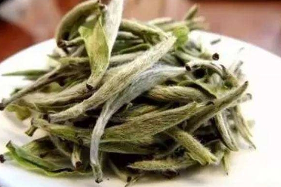 白茶三年為藥七年為寶的原理，為什么說一年茶三年藥七年寶？
