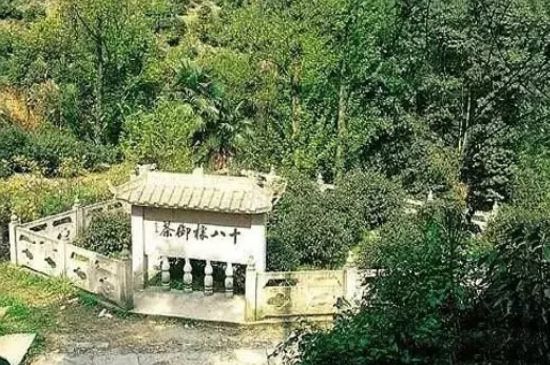 母樹(shù)大紅袍給誰(shuí)喝了，為什么母樹(shù)大紅袍叫三棵六株？