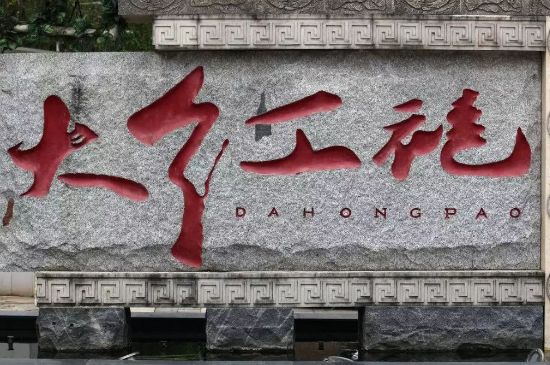 母樹(shù)大紅袍給誰(shuí)喝了，為什么母樹(shù)大紅袍叫三棵六株？