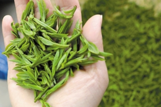 潮汕炒茶屬于什么茶，潮汕炒茶是綠茶嗎？