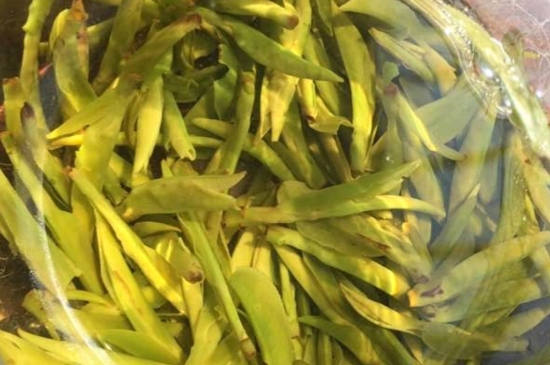 龍井是明前的好還是雨前的好，明前茶和雨前茶哪個(gè)好喝？