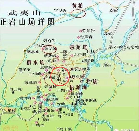 母樹(shù)大紅袍給誰(shuí)喝了，為什么母樹(shù)大紅袍叫三棵六株？
