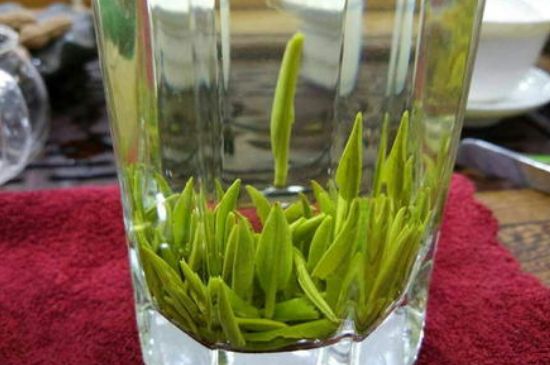 雀舌有一股青草味，雀舌為什么有青草味？
