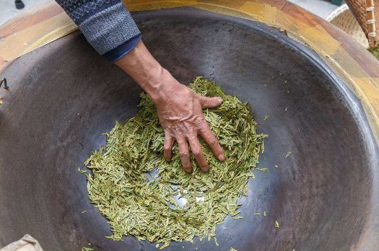 雀舌有一股青草味，雀舌為什么有青草味？