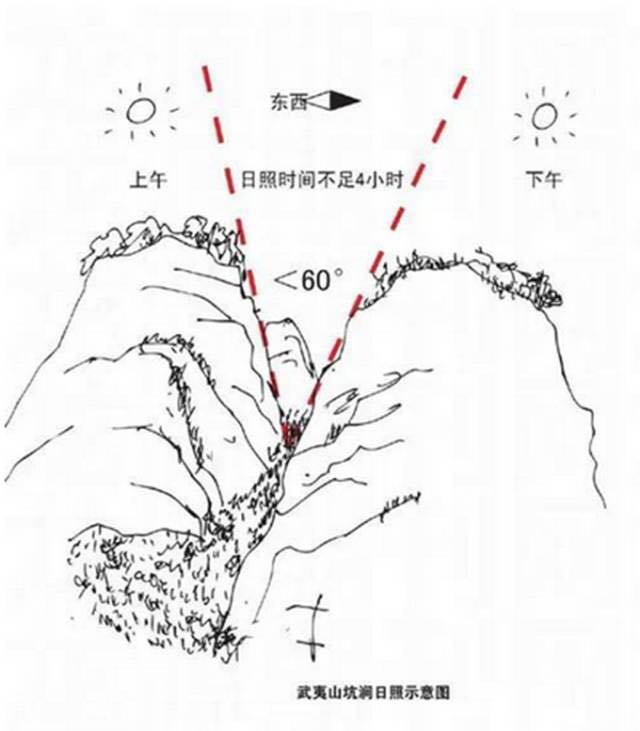 武夷山為什么盛產茶葉，武夷山茶為什么好喝？