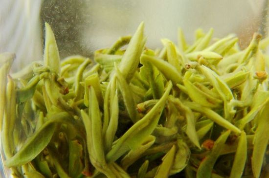 碧螺春為什么泡水渾濁，碧螺春茶葉泡水感覺(jué)很臟是混濁的