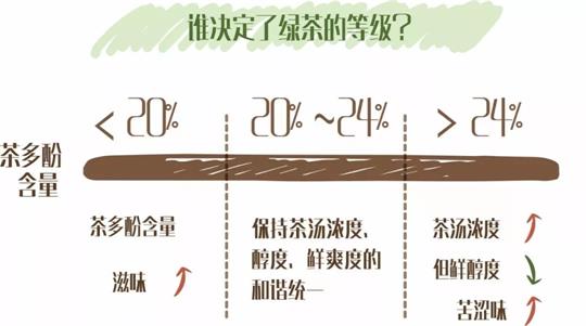 什么綠茶口味重口感濃郁，口味比較重的綠茶都有那些？