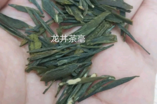 西湖龍井茶毫和發(fā)霉區(qū)別圖片，長(zhǎng)霉的龍井茶葉會(huì)是什么樣？
