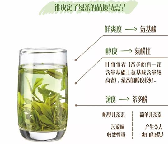 什么綠茶口味重口感濃郁，口味比較重的綠茶都有那些？