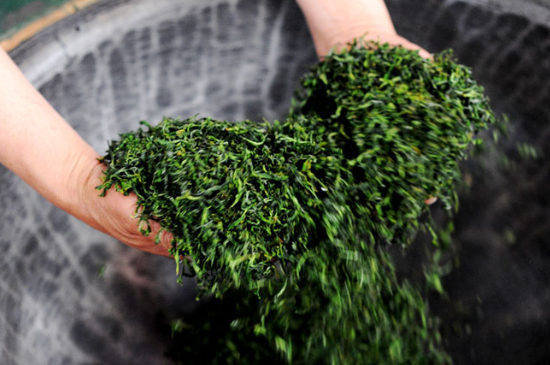 潮汕炒茶屬于什么茶，潮汕炒茶是綠茶嗎？
