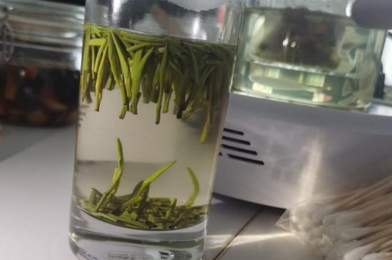 金壇雀舌算不算好茶，金壇雀舌屬于什么檔次茶葉？