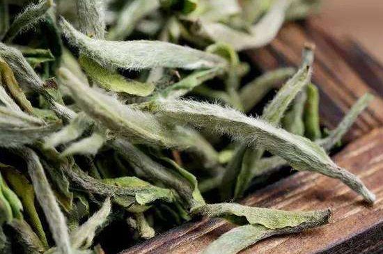 荒野銀針有什么特點，荒野銀針的味道口感咋樣？