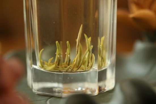 踏雪蘭妃是什么茶，踏雪蘭妃是哪里的茶葉?