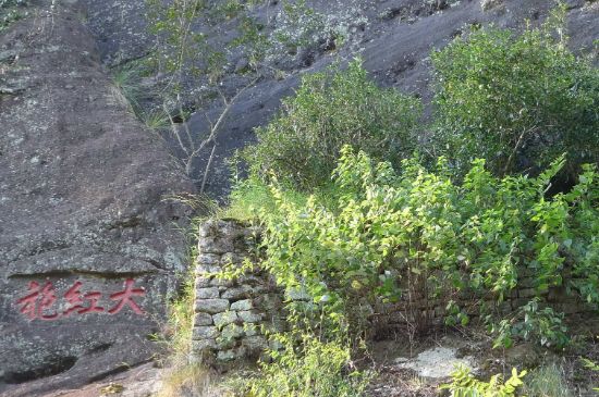 母樹(shù)大紅袍給誰(shuí)喝了，為什么母樹(shù)大紅袍叫三棵六株？