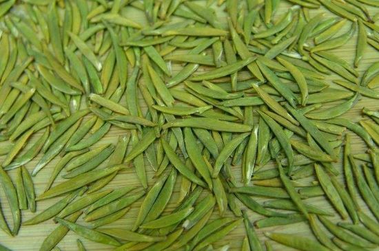 竹葉青和毛尖的區(qū)別，毛尖和竹葉青怎么分辨？