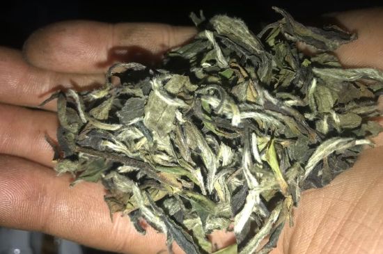 7年壽眉和2年白牡丹哪個好，老白茶壽眉與白牡丹的口感區(qū)別