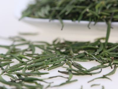 霍山黃芽算是好茶嗎，霍山黃芽屬于什么茶？