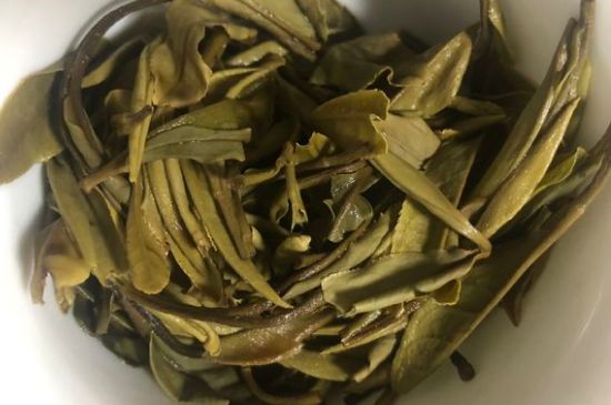 三年白茶賽砒霜，這是真的嗎？