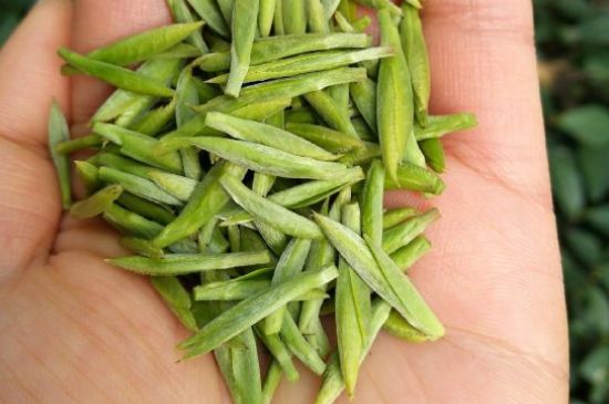 什么綠茶味道濃香，那個綠茶比較濃香？