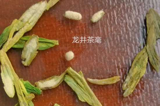 西湖龍井茶毫和發(fā)霉區(qū)別圖片，長(zhǎng)霉的龍井茶葉會(huì)是什么樣？