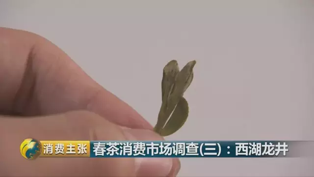 龍井群體種和43號的區(qū)別圖片，龍井43和群體種哪個好喝？