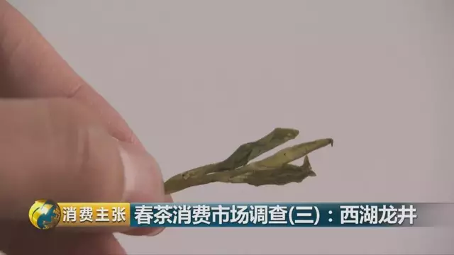 龍井群體種和43號的區(qū)別圖片，龍井43和群體種哪個好喝？