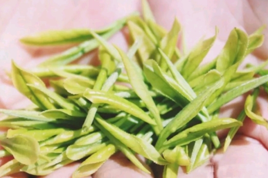 龍井是明前的好還是雨前的好，明前茶和雨前茶哪個(gè)好喝？