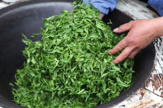 潮汕炒茶屬于什么茶，潮汕炒茶是綠茶嗎？