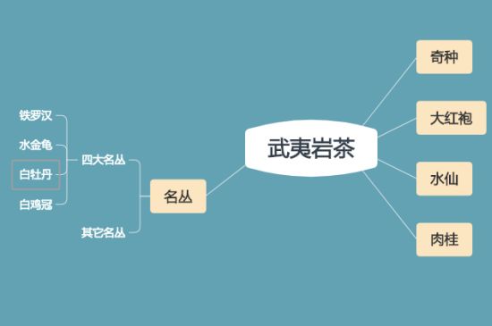 武夷巖茶品種大全，巖茶有幾種？