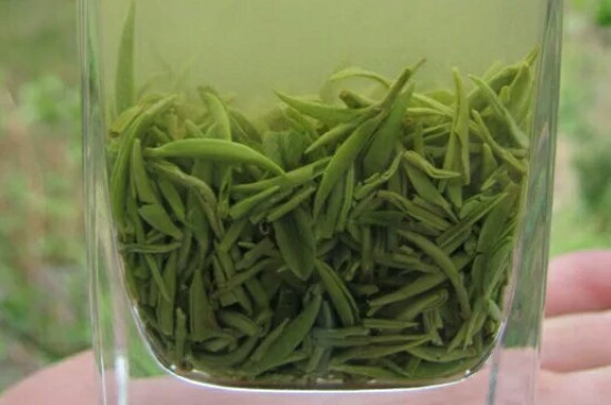 什么綠茶茶葉唇齒留香，哪個品種綠茶香氣好？