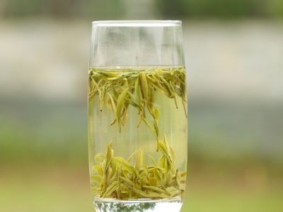 霍山黃芽算是好茶嗎，霍山黃芽屬于什么茶？