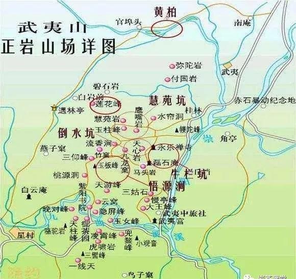 300塊錢的金駿眉能喝嗎，兩三百多金駿眉和一千多區(qū)別