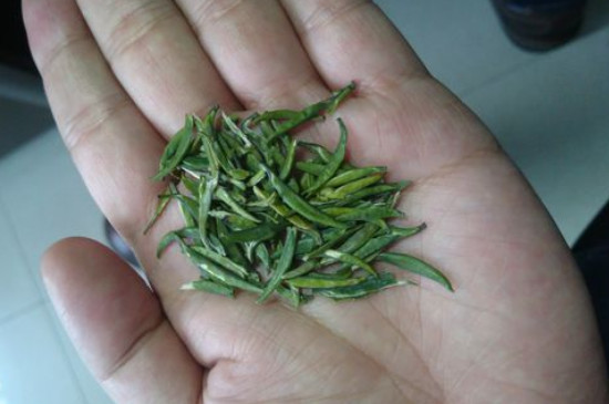 竹葉青茶怎么泡，竹葉青如何沖泡