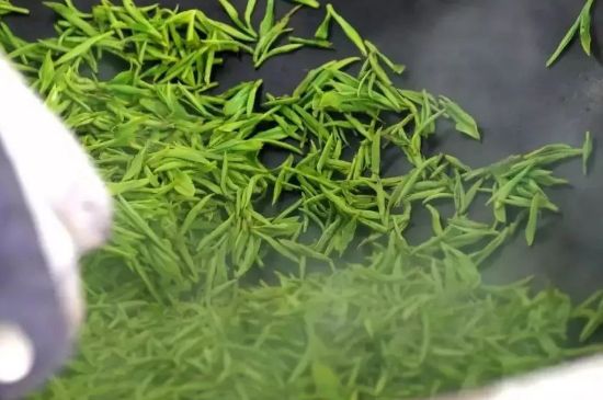 碧螺春為什么泡水渾濁，碧螺春茶葉泡水感覺(jué)很臟是混濁的