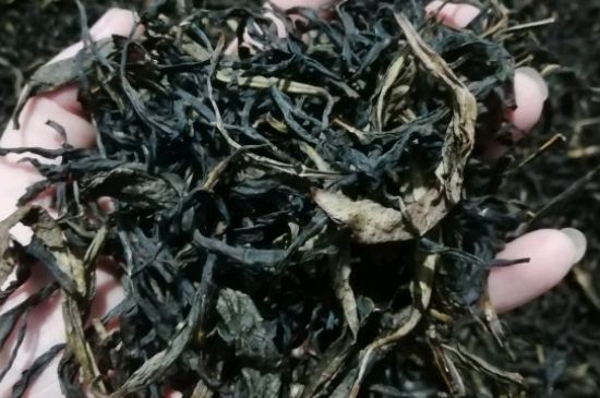 蜜蘭香好還是鴨屎香好，鳳凰單叢茶蜜蘭香和鴨屎香特點有哪些？
