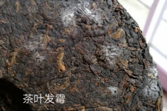 西湖龍井茶毫和發(fā)霉區(qū)別圖片，長(zhǎng)霉的龍井茶葉會(huì)是什么樣？
